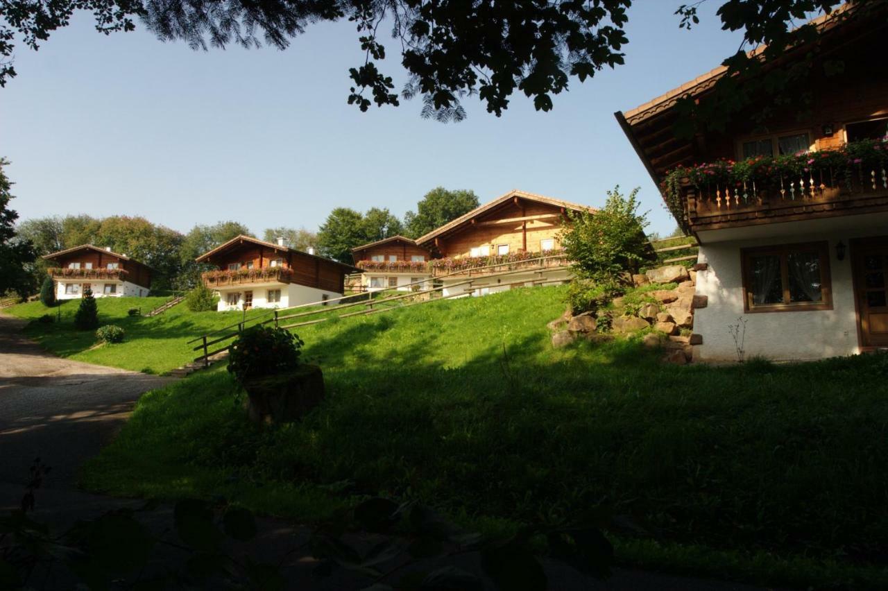 Blockhaus-Ferienpark Daire Eisenschmitt Dış mekan fotoğraf